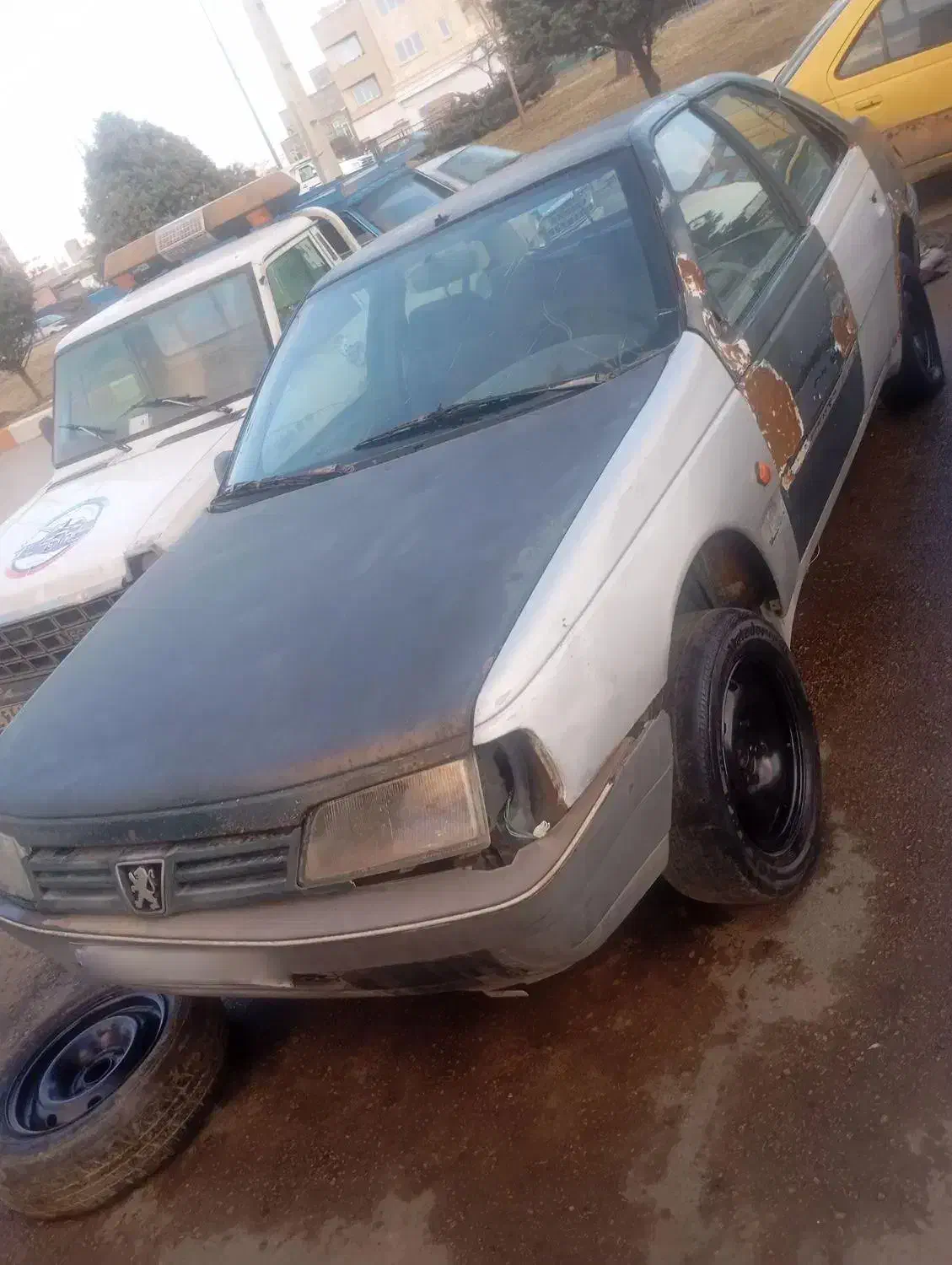 مدل ۸۱ فروش فوری|خودرو سواری و وانت|اردبیل, |دیوار