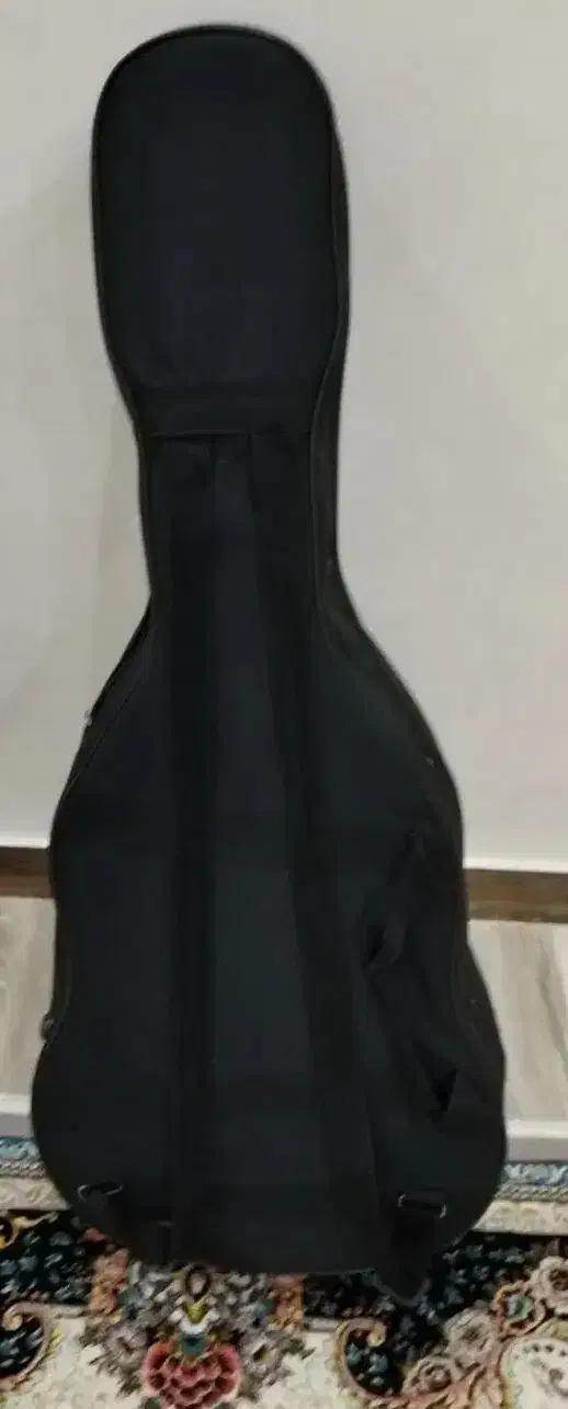 هاردکیس گیتار|گیتار، بیس، امپلیفایر|نسیمشهر, |دیوار