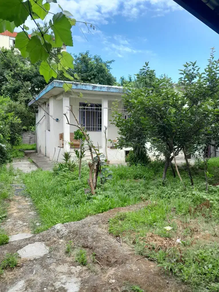 فروش  زمین به متراژ ۳۲۰ متر|فروش زمین و ملک کلنگی|تالش, هشتپر|دیوار