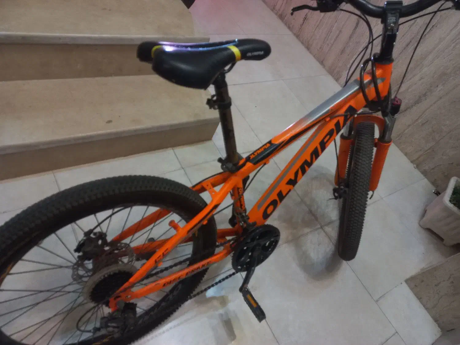 دوچرخه|دوچرخه، اسکیت، اسکوتر|شیراز, شاه قلی بیگی|دیوار