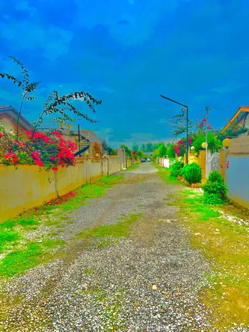 زمین مسکونی شهرکاصیل ق ساخت با مجوز سند۶دانگ|فروش زمین و ملک کلنگی|نور, |دیوار