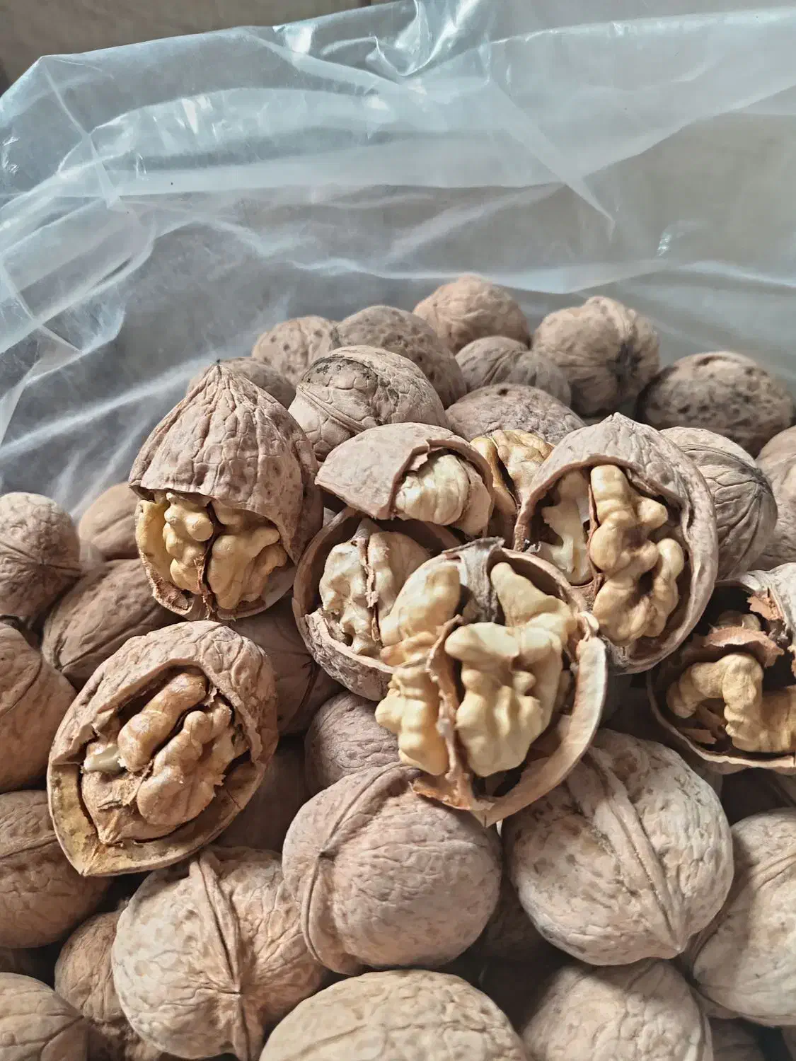 فروش گردو  درجه یک تضمینی کلان سفید معز|خوردنی و آشامیدنی|خوی, |دیوار