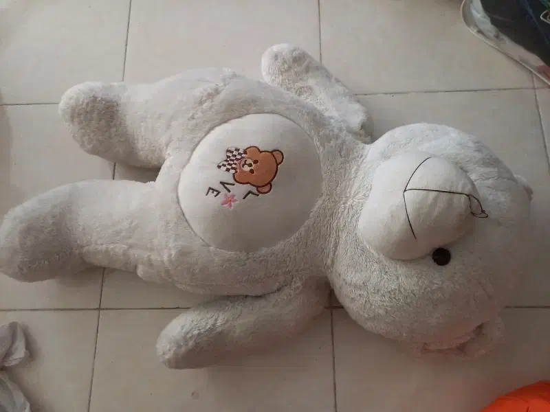 خرس عروسکی|اسباببازی|پردیس, فاز ۴|دیوار