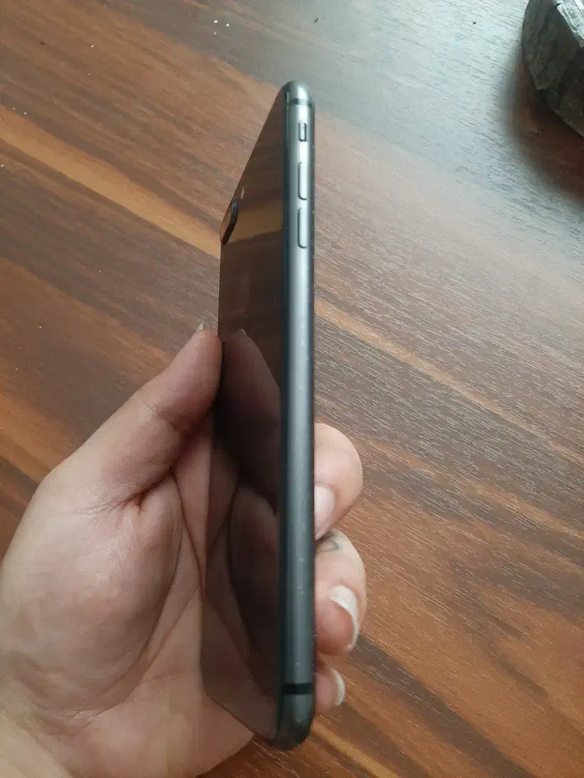 iPhone 8 Plus|موبایل|بابل, |دیوار