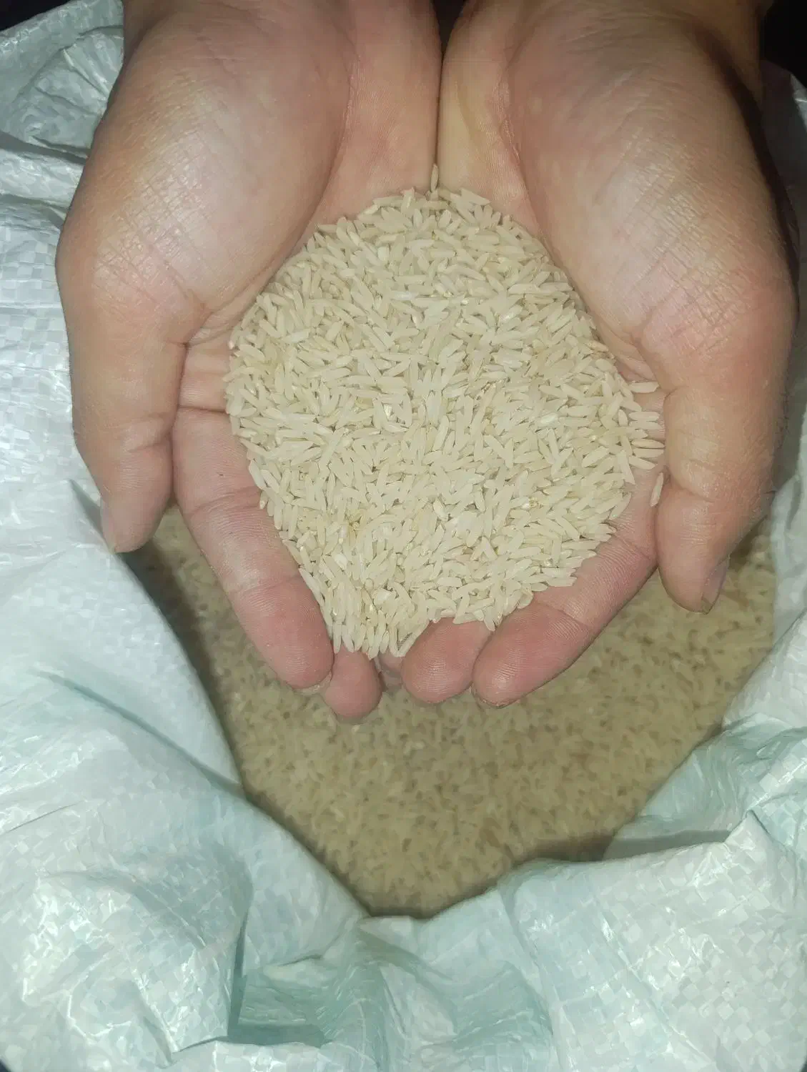 برنج طارم هاشمی + درجه یک+320تومن|خوردنی و آشامیدنی|مشهد, خواجه ربیع|دیوار