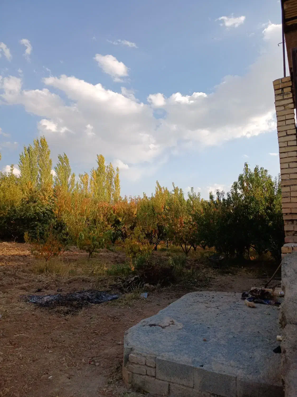 باغ و گلخانه|فروش دفتر صنعتی، کشاورزی، تجاری|سنندج, |دیوار