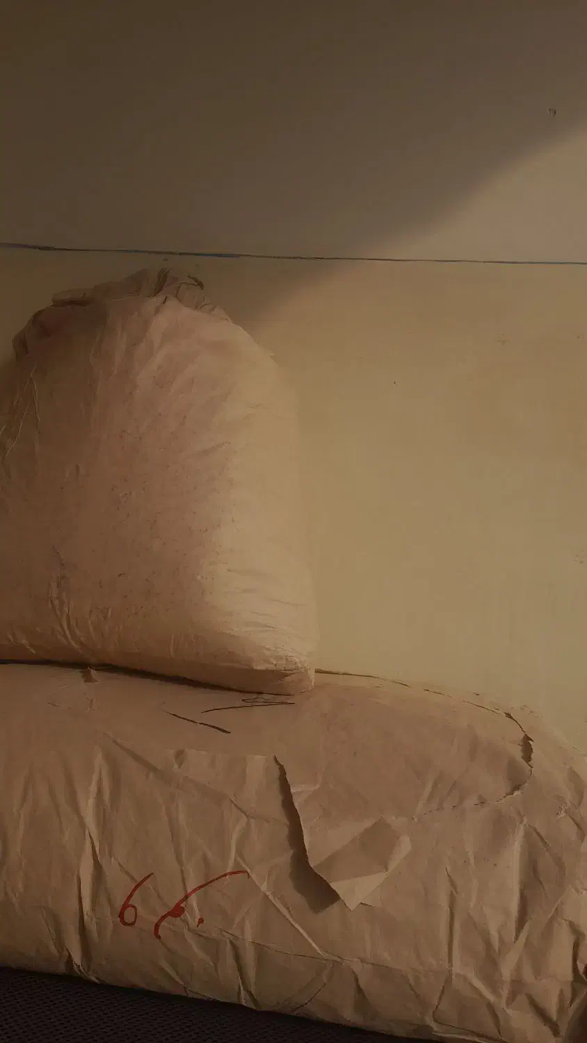 بذرنخودفرنگی ولفو هلند ۴۰کیلو|گل و گیاه طبیعی|فاضل آباد, |دیوار