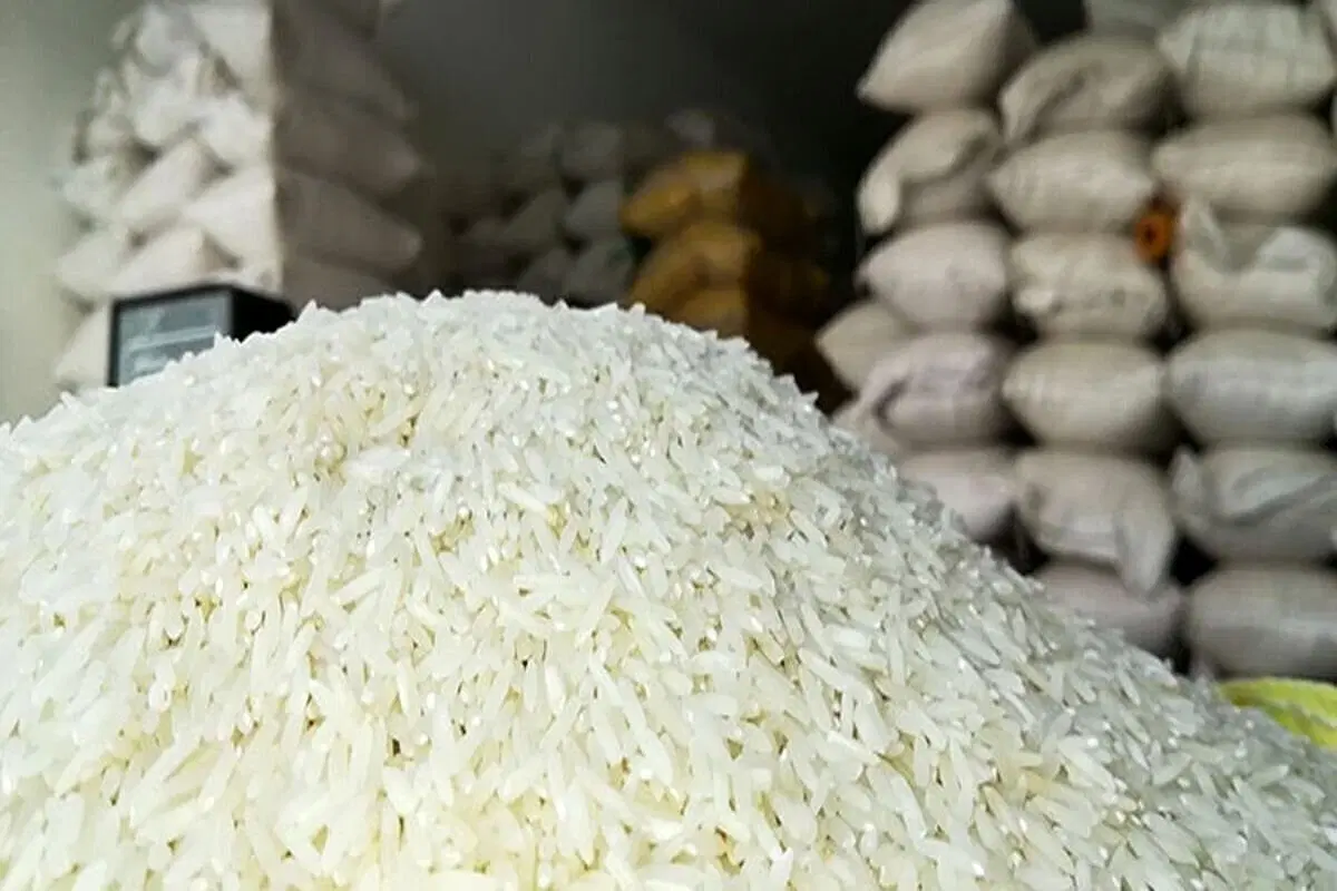 برنج گیلان برای تعاونیها و دانشگاهها|خوردنی و آشامیدنی|تهران, یوسفآباد|دیوار