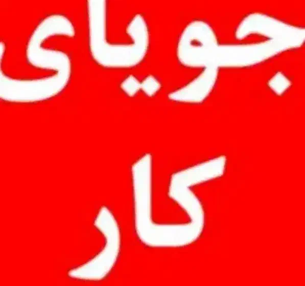 جویای کار هستم|فعالیت داوطلبانه|فردوس (خراسان), |دیوار