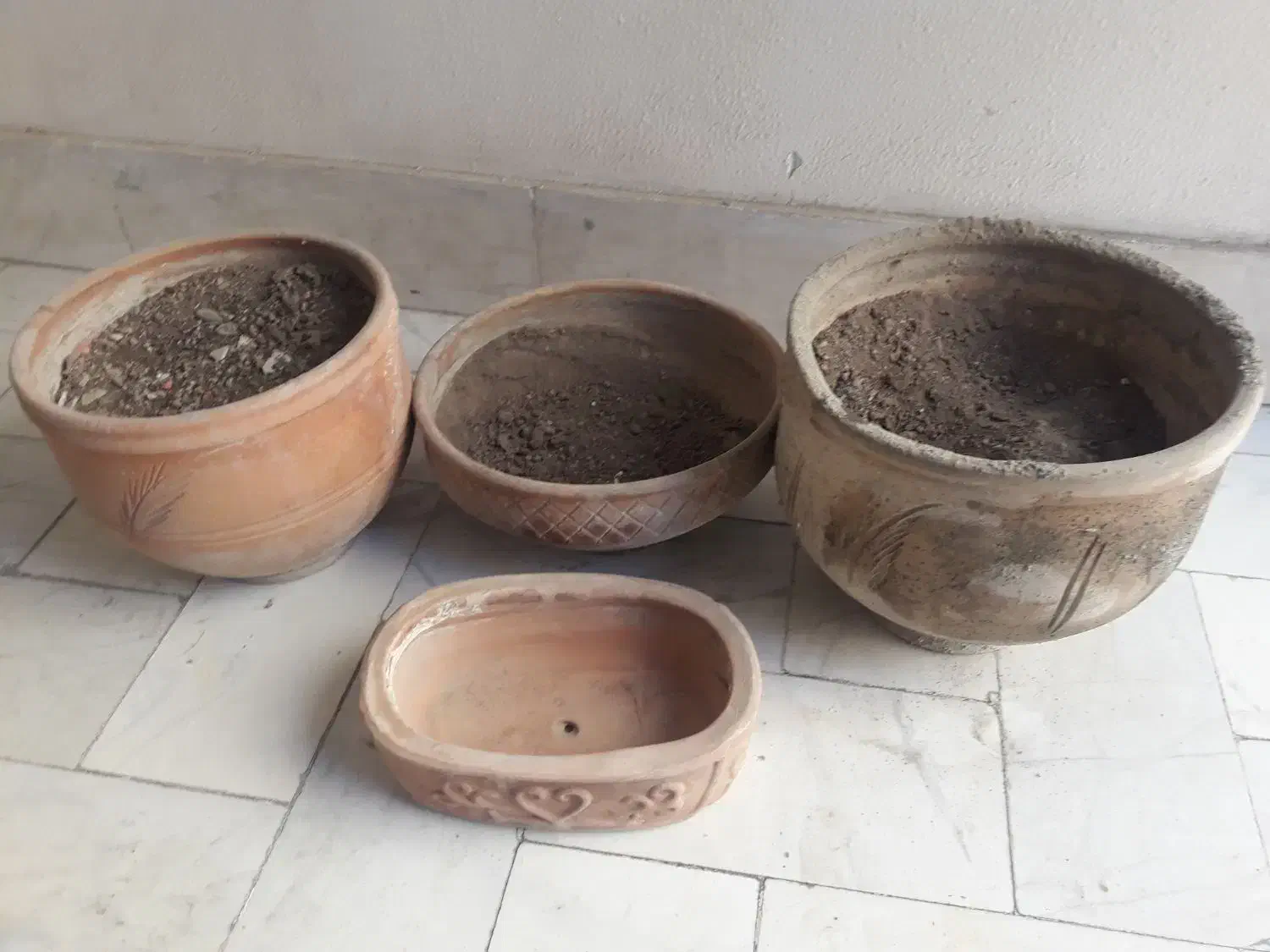 گلدان سفالی|گل و گیاه طبیعی|تهران, منیریه|دیوار