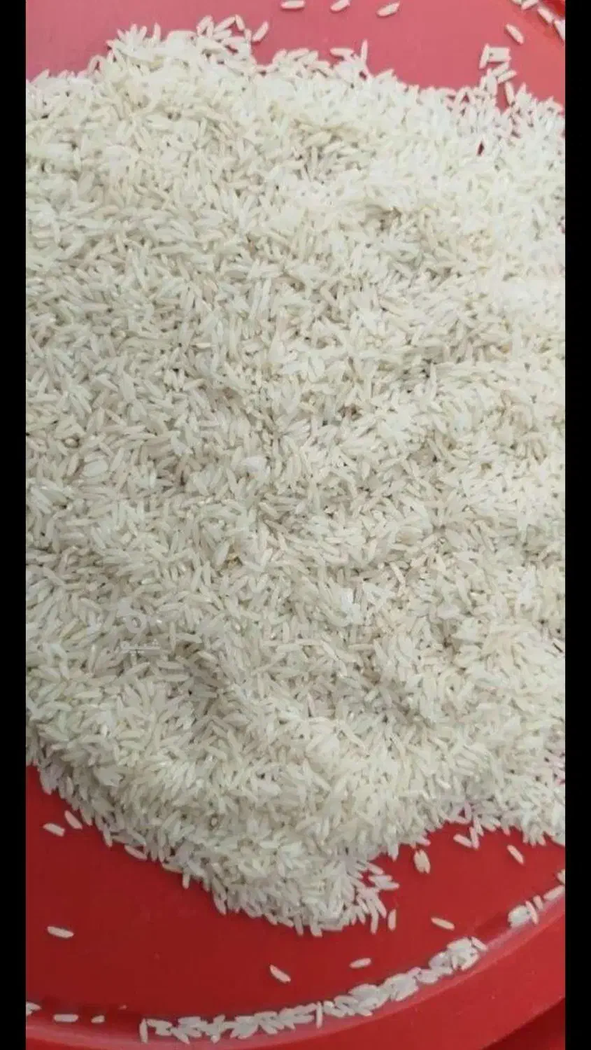 برنج کشت دوم پخت عالی|خوردنی و آشامیدنی|بابلسر, |دیوار