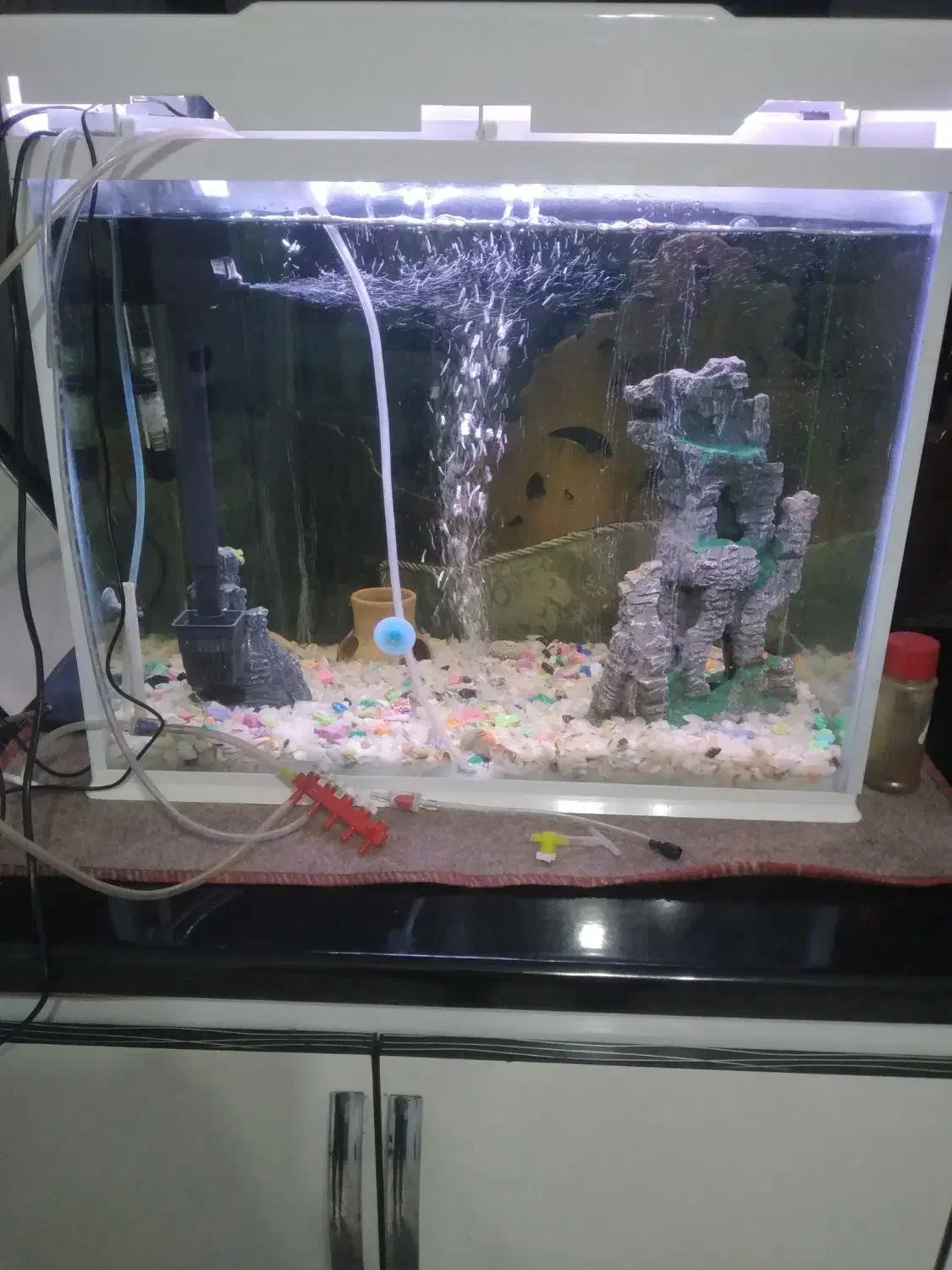 آکواریوم شیشه خم با تمام تجهیزات|ماهی|میاندوآب, |دیوار