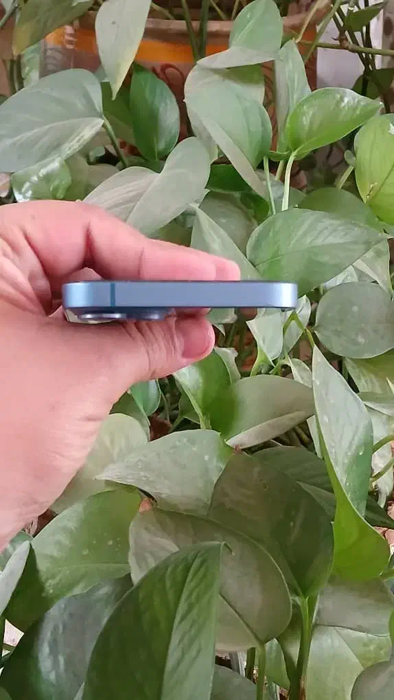 آیفون 13 نرمال ch|موبایل|کرمان, |دیوار