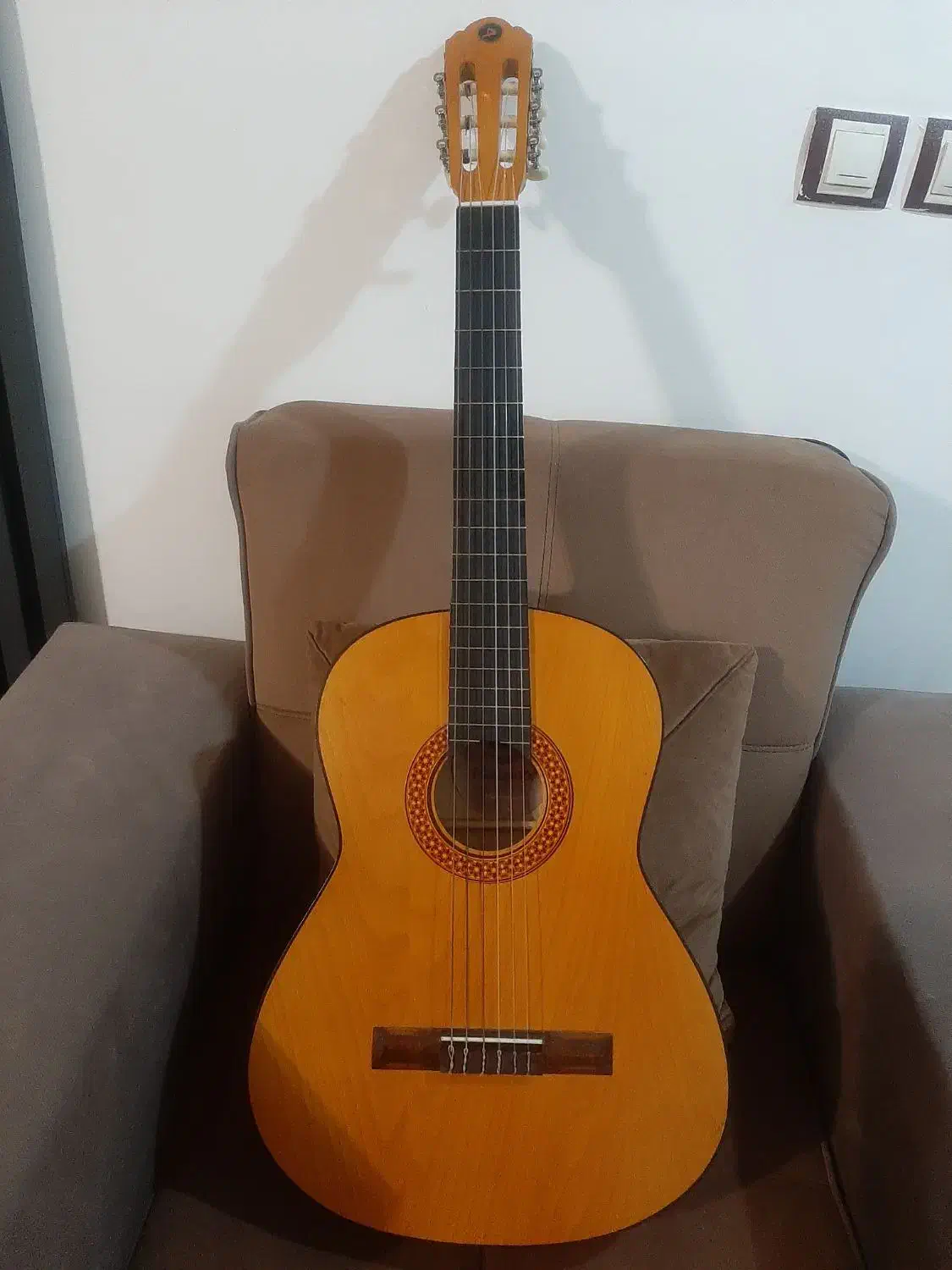 گیتار کلاسیک|گیتار، بیس، امپلیفایر|اردبیل, |دیوار