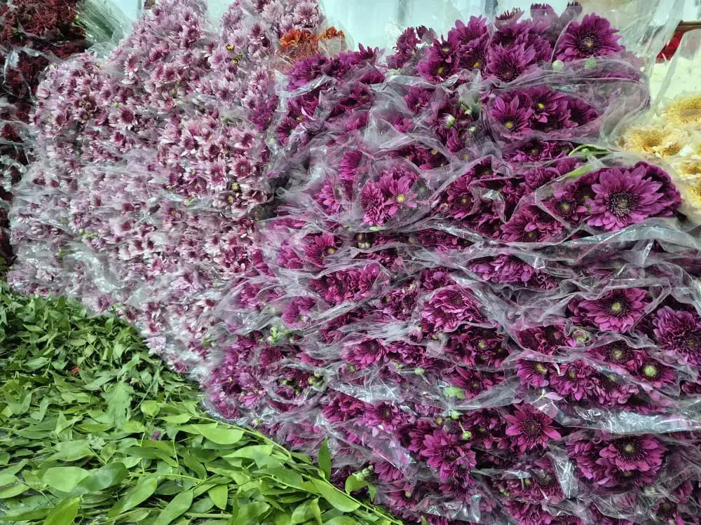 نیازمند نیروی ماهر یا نیمه ماهر گلفروشی|استخدام خدمات فروشگاه و رستوران|مرودشت, مسجد رسول|دیوار