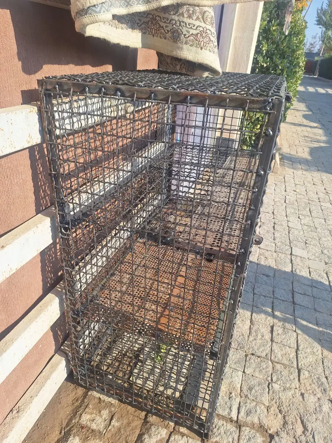 جفت کنی کفتر یک در یک عمق ۵۵ مناسب پرنده|لوازم جانبی حیوانات|صفادشت, |دیوار