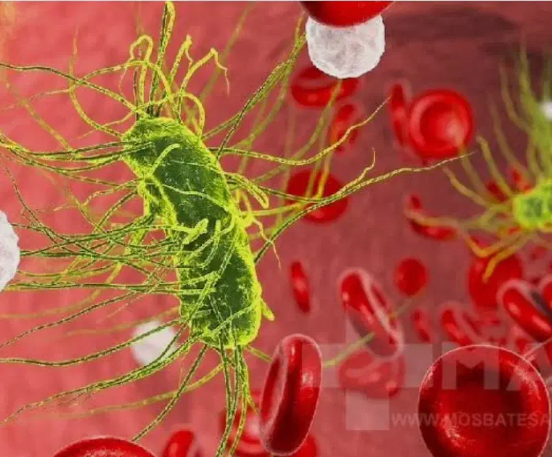 برای کیست و عفونت (بانوان و آقایان)|آرایشی، بهداشتی، درمانی|ارومیه, |دیوار