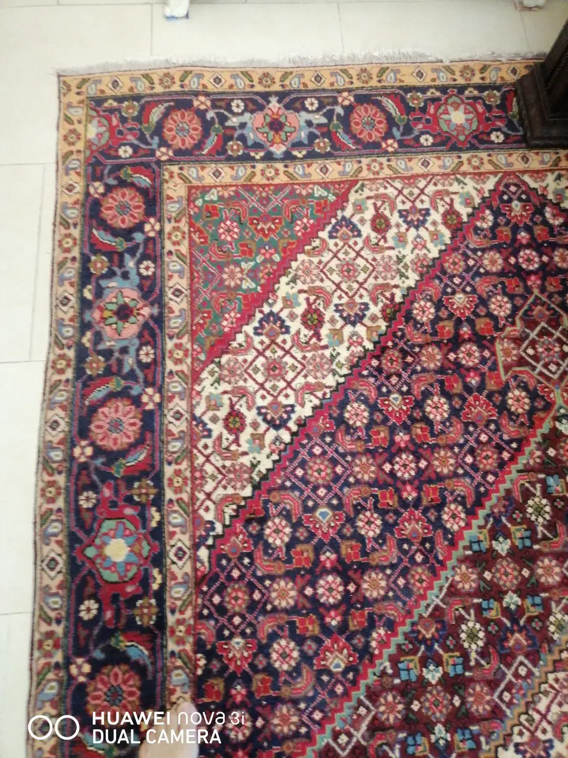فروش دوتا فرش 6متری دست بافت|فرش|سهند, |دیوار