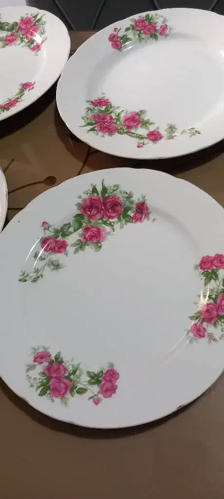 بشقاب چینی گل سرخی|ظروف سرو و پذیرایی|رشت, رشتیان|دیوار