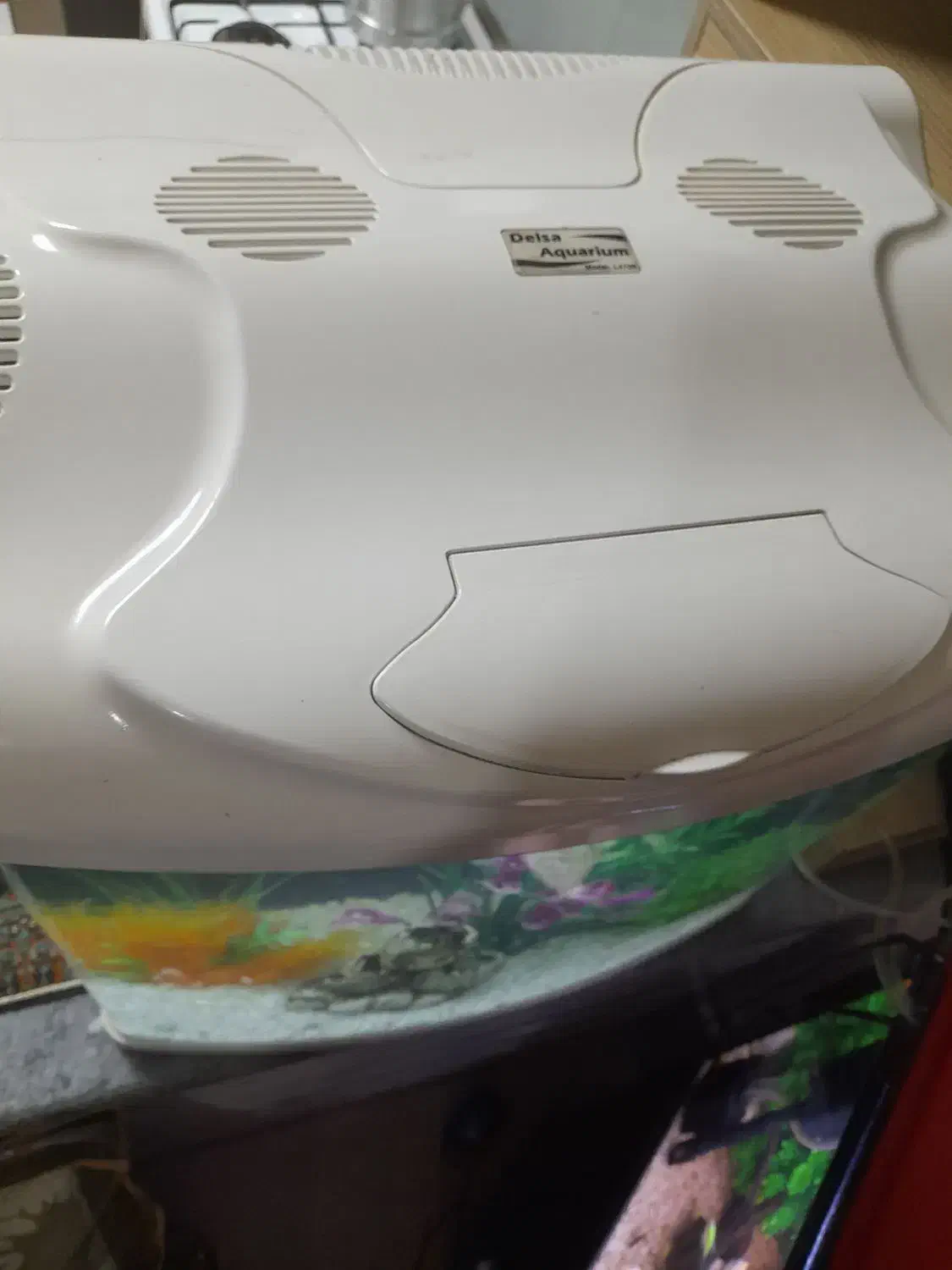 آکواریوم بک سمپ|ماهی|تبریز, |دیوار