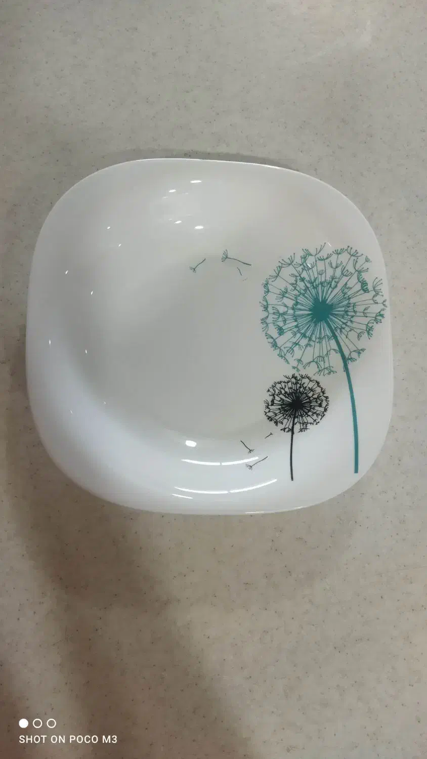 آرکوپال فرانسه|ظروف سرو و پذیرایی|شیراز, فرگاز|دیوار