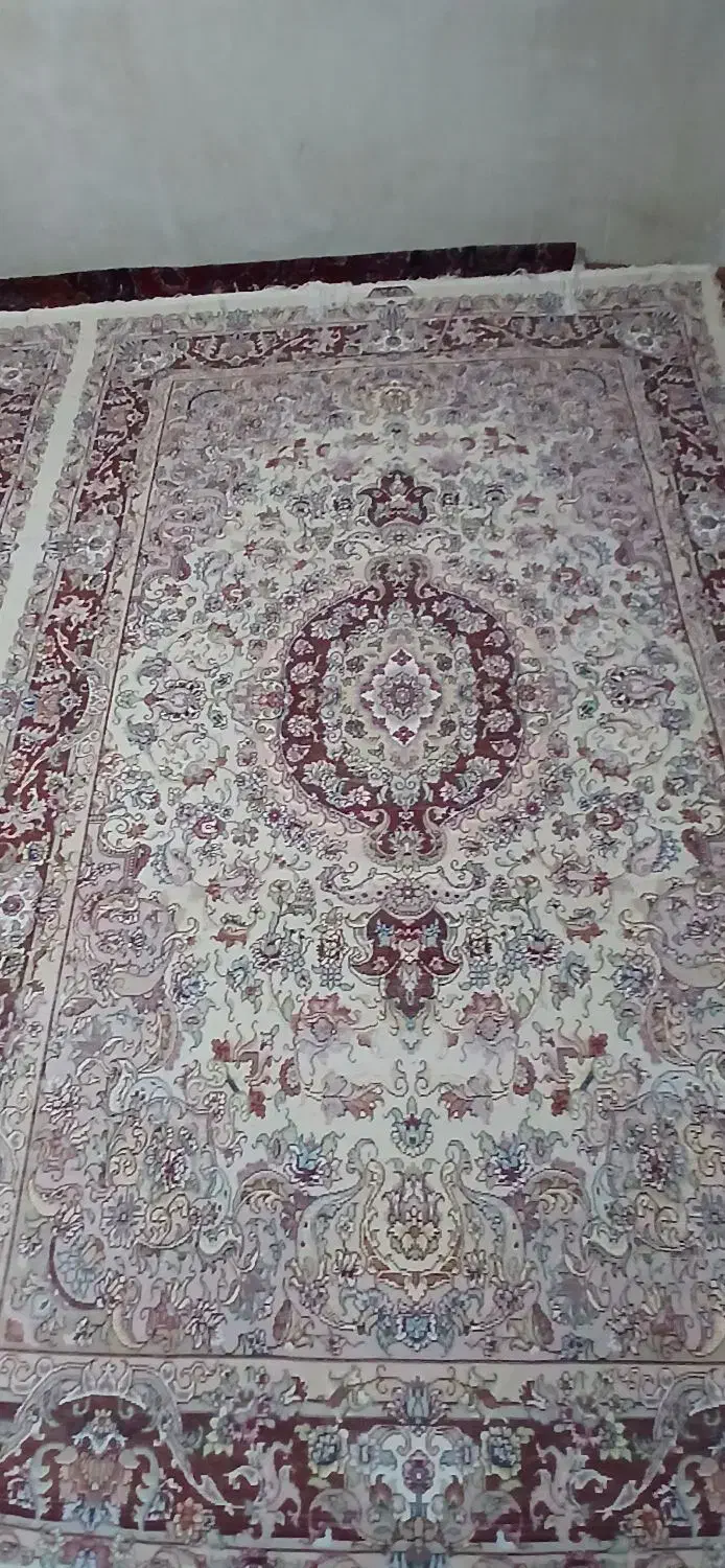 فرشِ فروشی|فرش|عجب شیر, |دیوار