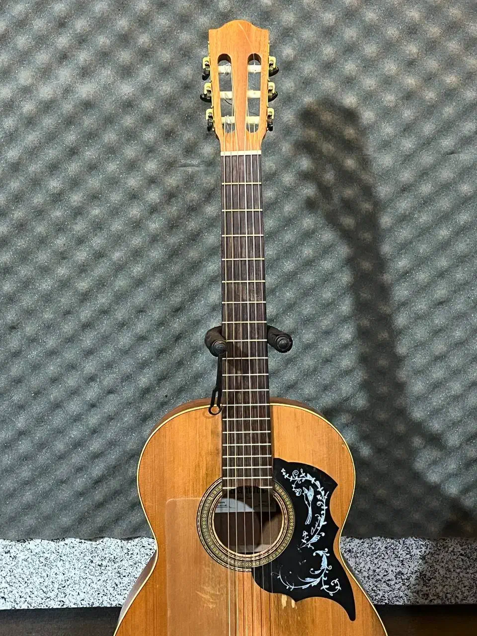 فروش گیتار الحمبرا|گیتار، بیس، امپلیفایر|ساری, |دیوار