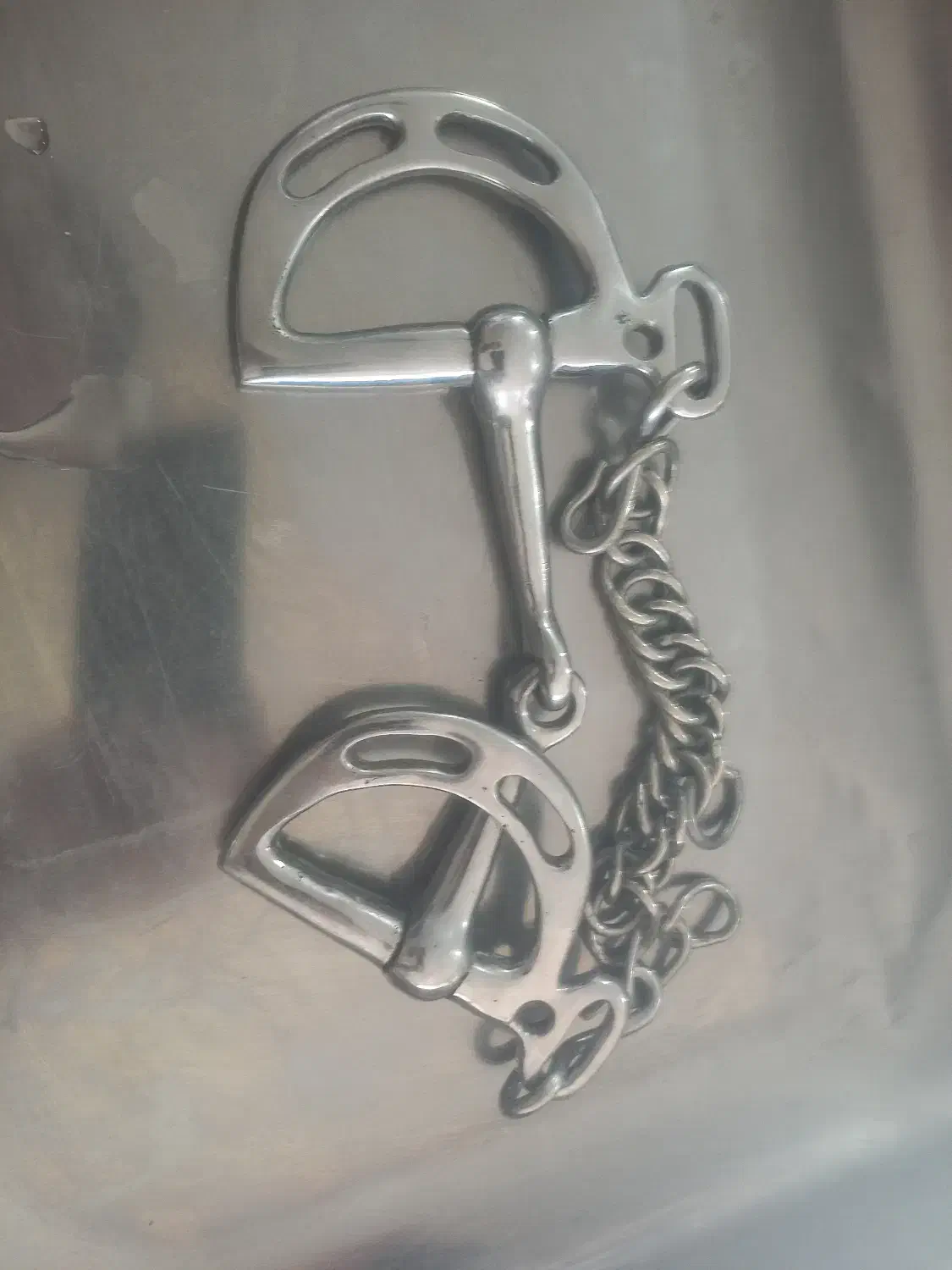 دهنه دی آبخوری|لوازم جانبی حیوانات|گلپایگان, |دیوار