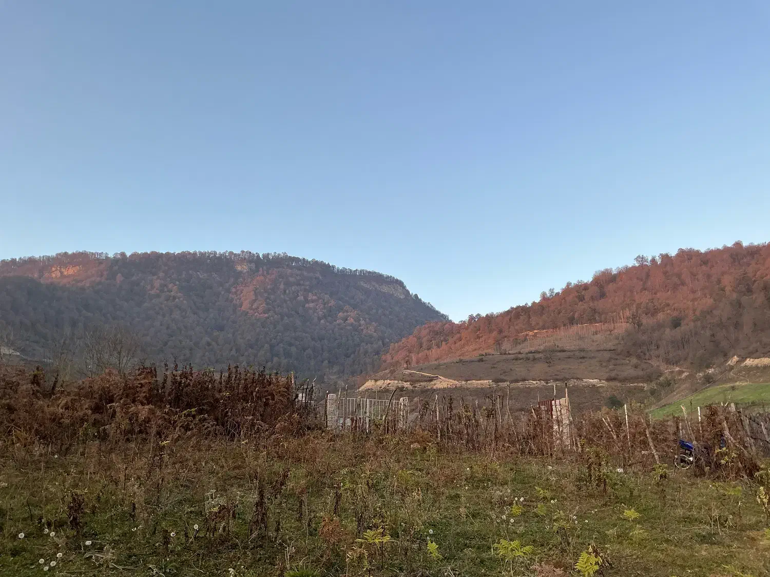 فروش فوری زمین1000متری  تو ساری منطقه دودانگه|فروش زمین و ملک کلنگی|فریم, |دیوار