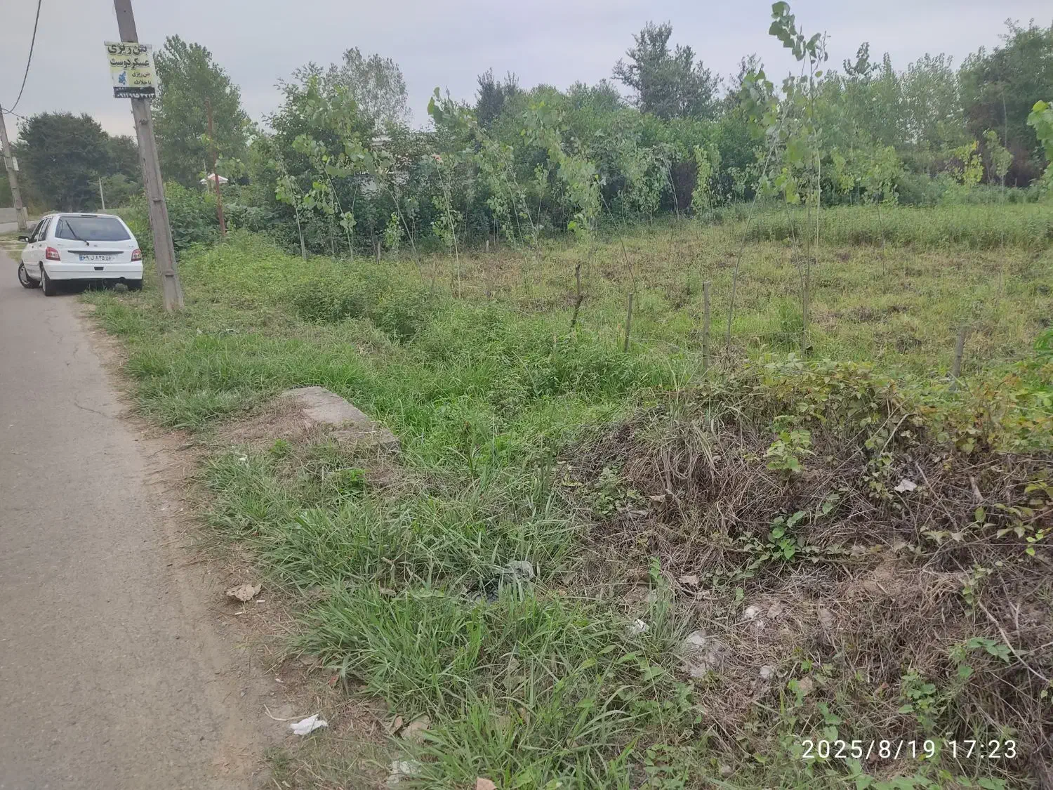 زمین شهری|فروش زمین و ملک کلنگی|گوراب زرمیخ, |دیوار