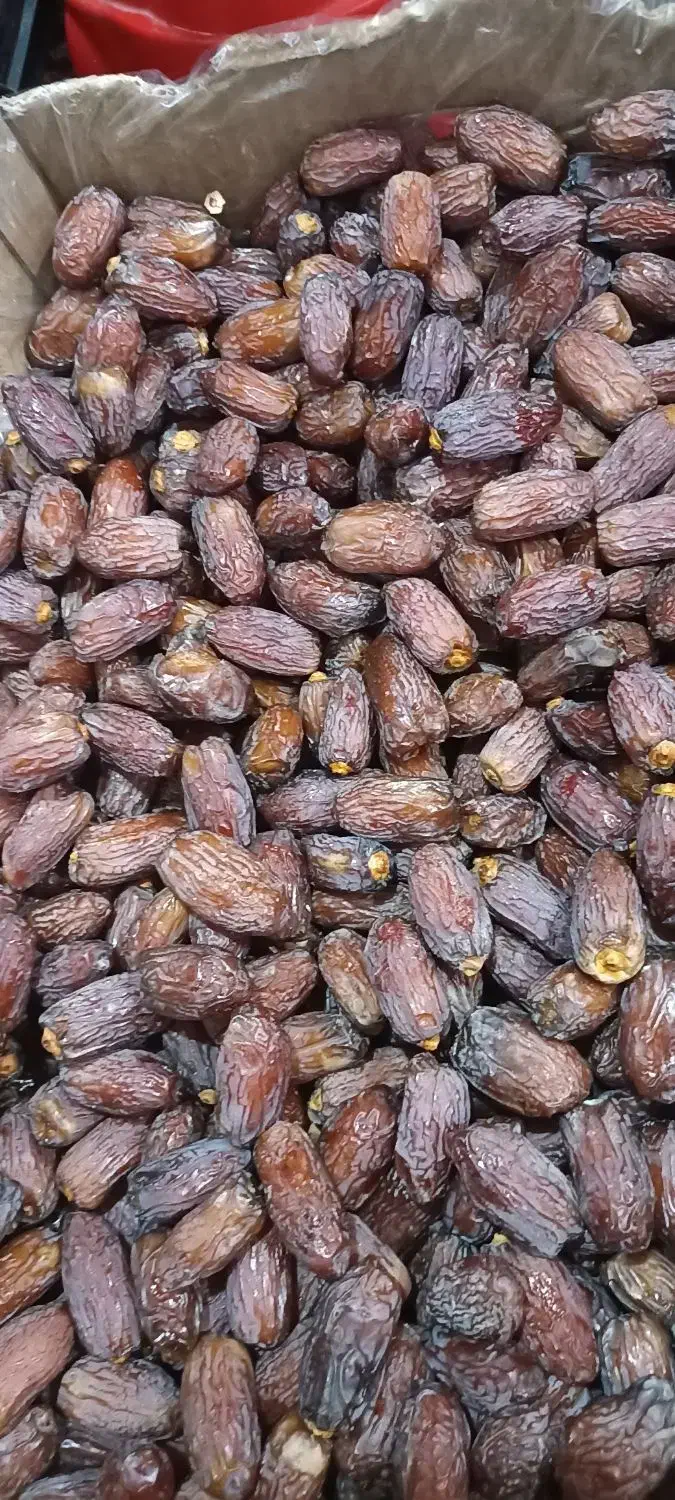 مجول|خوردنی و آشامیدنی|شیراز, منطقه هوایی شهید دوران|دیوار