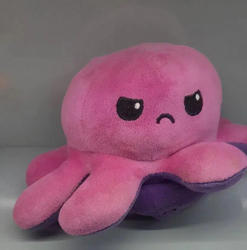 عروسک|اسباب‌بازی بچه|مشهد, دانشجو|دیوار