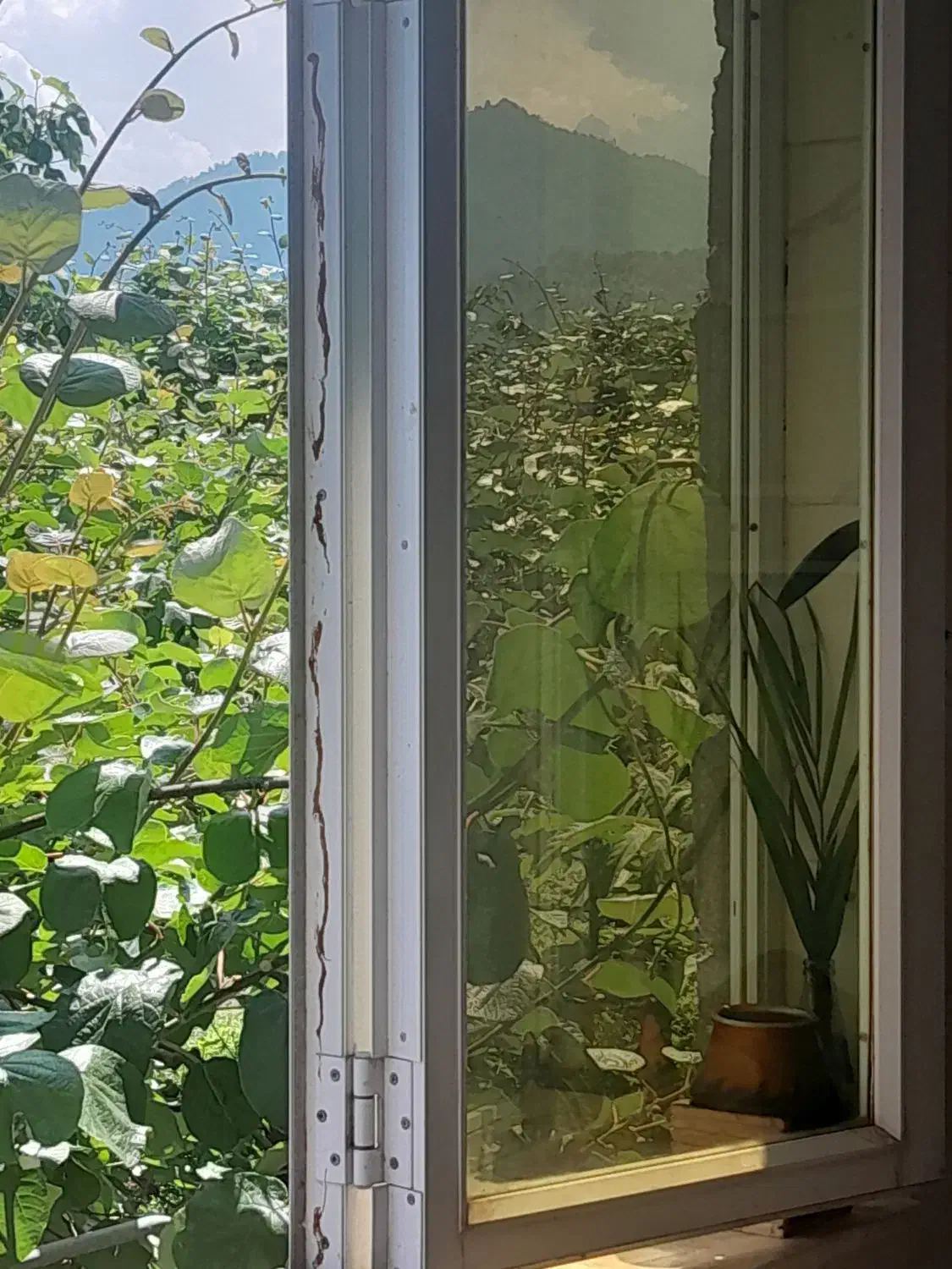 ویلا ساحلی درحویق هراندان|فروش خانه و ویلا|حویق, |دیوار