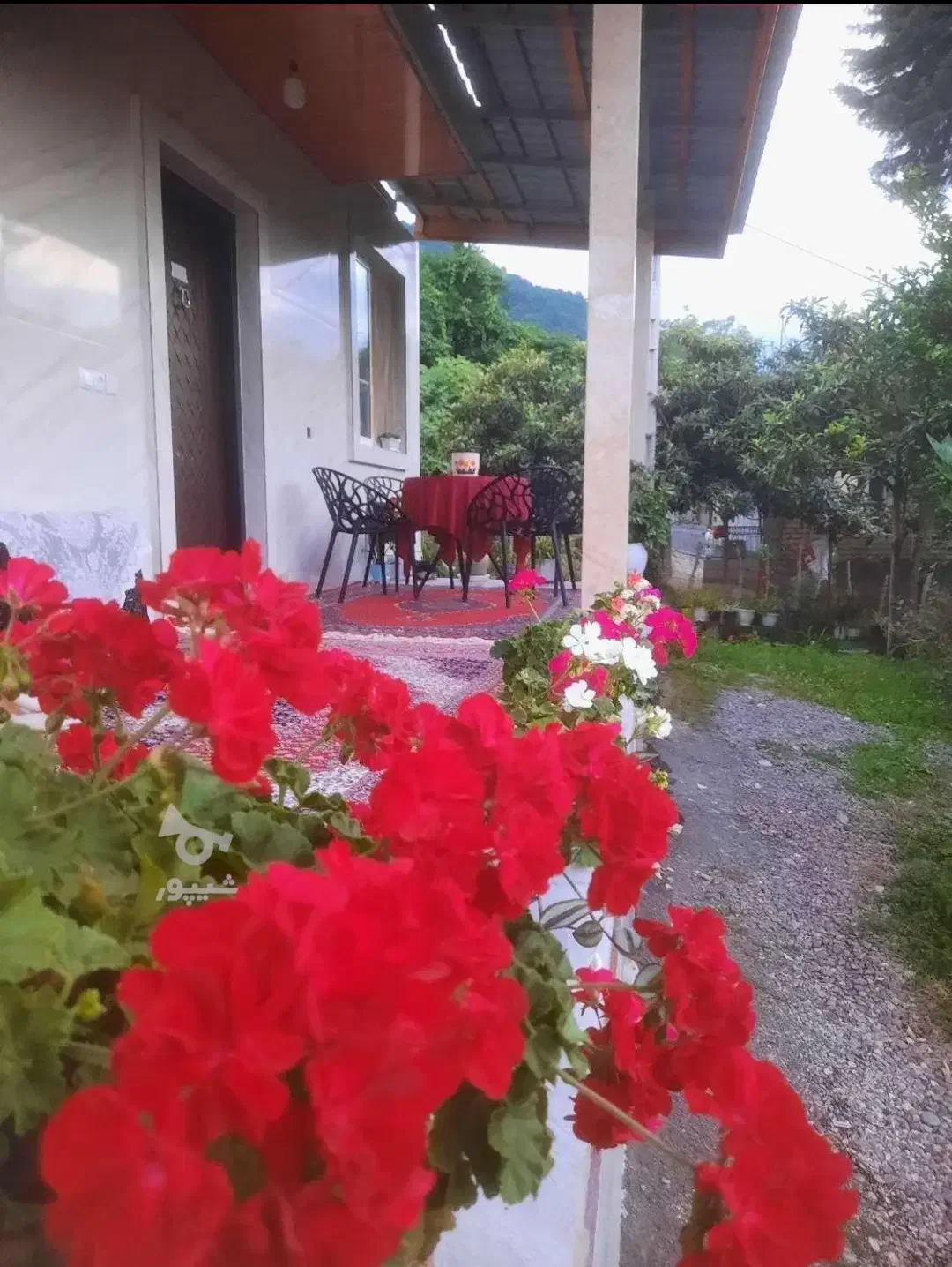 ویلا جنگلی کنار رودخانه جاده ییلاق السبلنگاه|اجارهٔ کوتاهمدت آپارتمان و سوئیت|ماسال, |دیوار