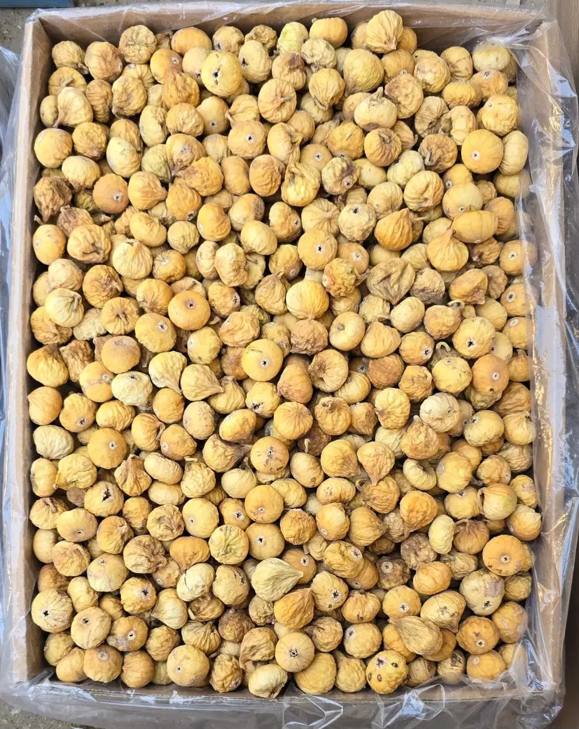 انجیر 3As سفید|خوردنی و آشامیدنی|استهبان, |دیوار