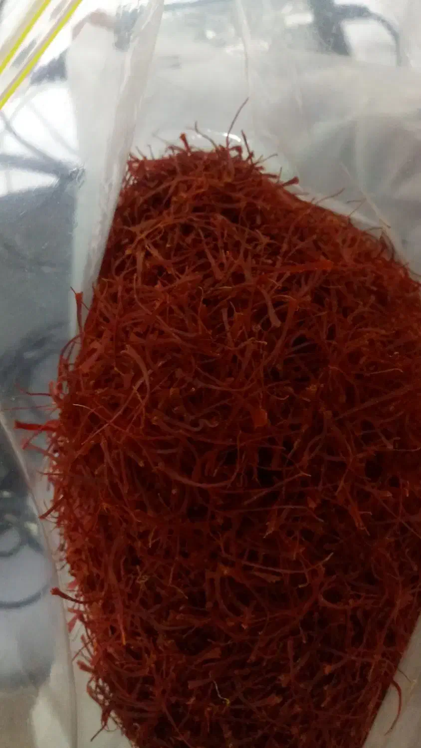 زعفران تازه قائنات 700 هزار تومن|خوردنی و آشامیدنی|مشهد, ولیعصر (شهرک غرب)|دیوار