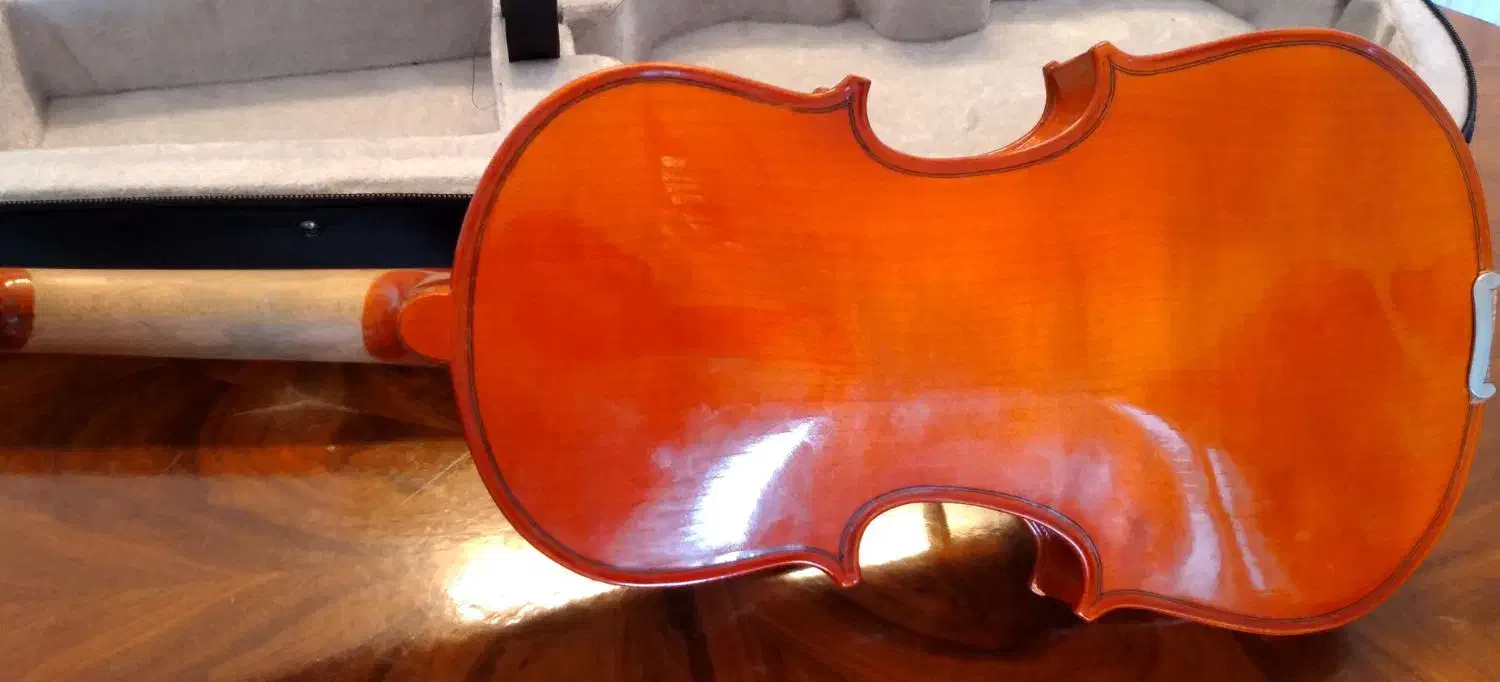 ویولن Locto|ویولن|فولادشهر, C1|دیوار