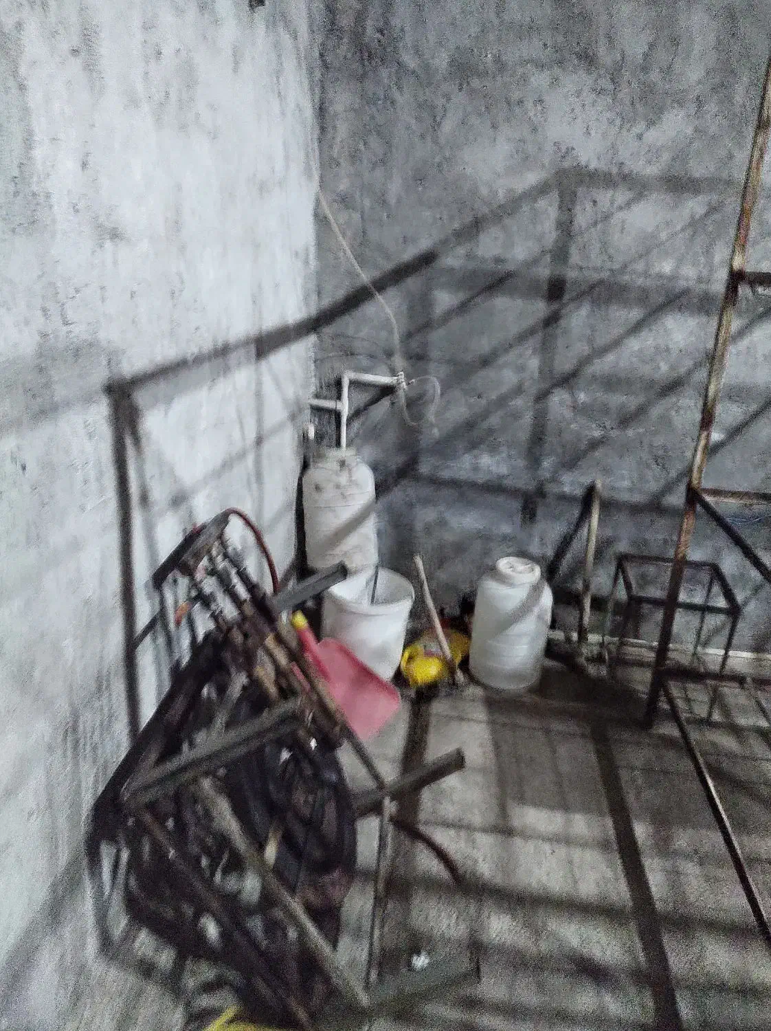 اجاره سالن قارچ|اجارهٔ دفتر صنعتی، کشاورزی، تجاری|مراغه, |دیوار