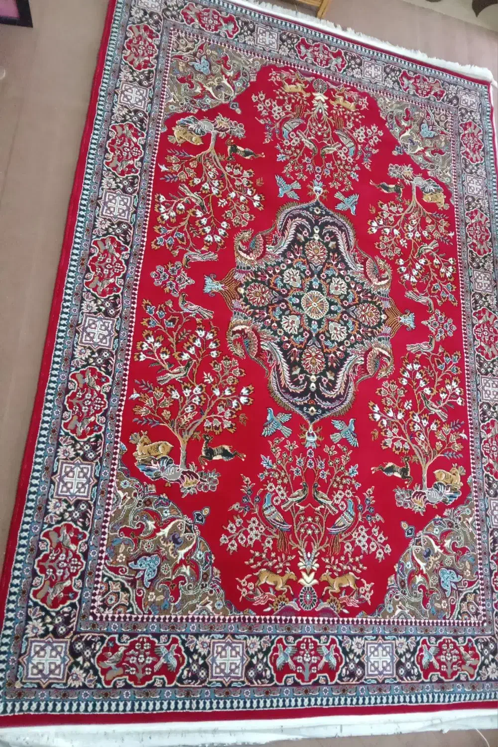 فرش ۶متری|فرش|سیاهکل, |دیوار