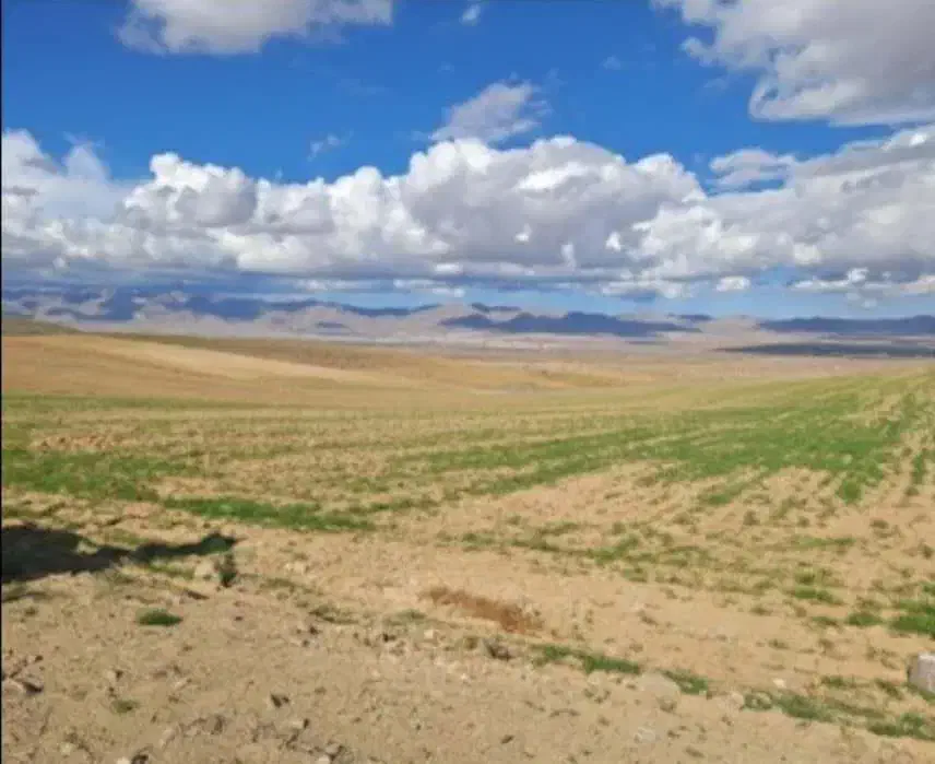 زمین کشاورزی|فروش دفتر صنعتی، کشاورزی، تجاری|ضیاء آباد, |دیوار