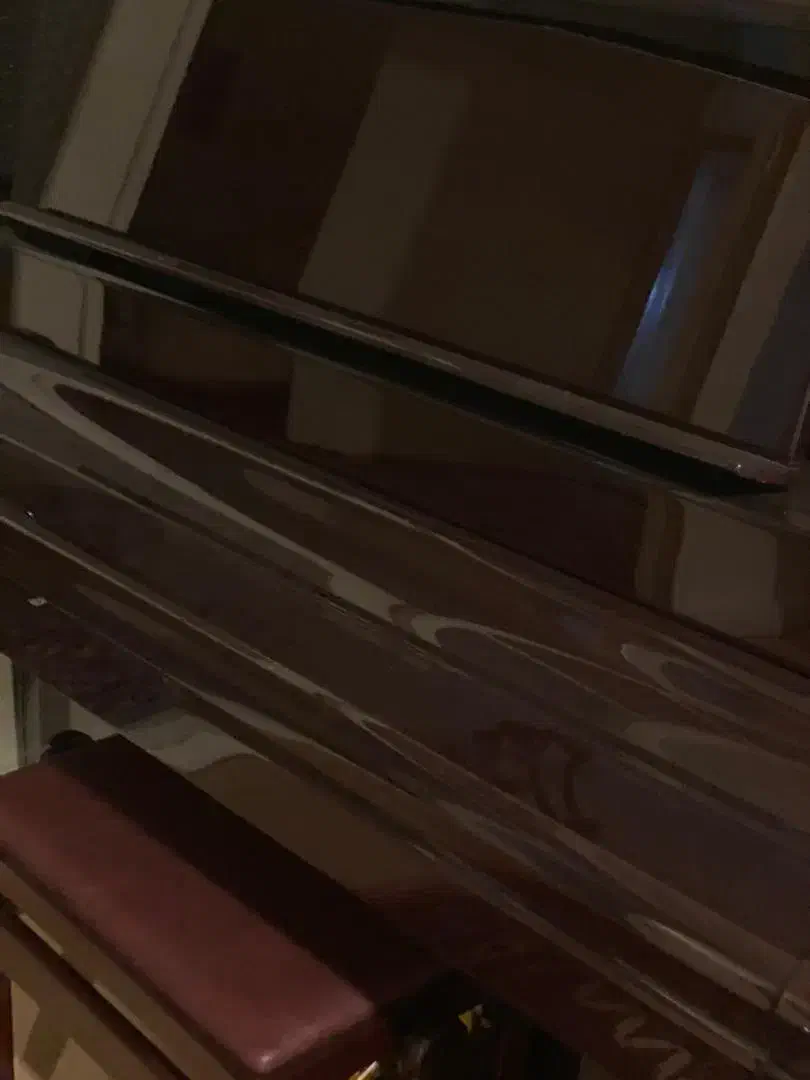 پیانو آکوستیک ۱۲۸|پیانو، کیبورد، آکاردئون|مشهد, رضاشهر|دیوار