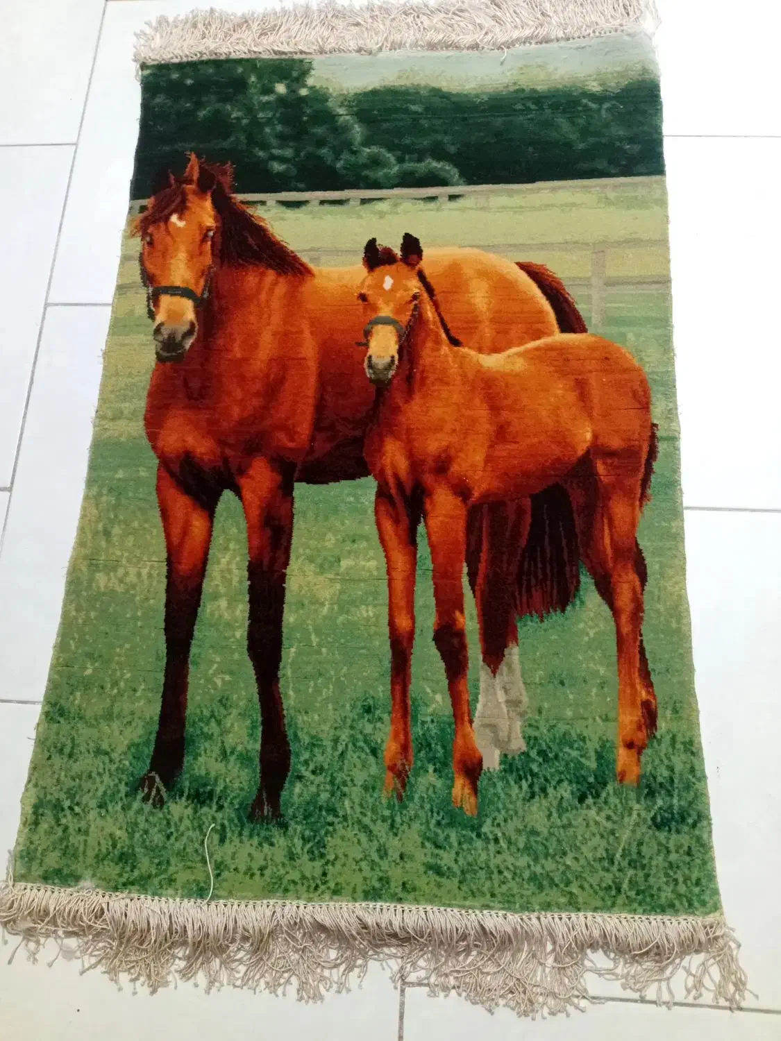 تابلو فرش دستبافت|تابلو فرش|قائمشهر, |دیوار