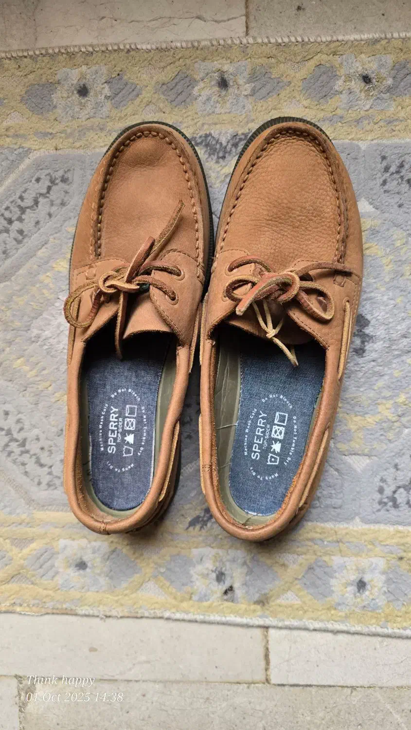 کفش اسپری اسپانیایی سایز ۴۲|کیف، کفش، کمربند|تنکابن, |دیوار