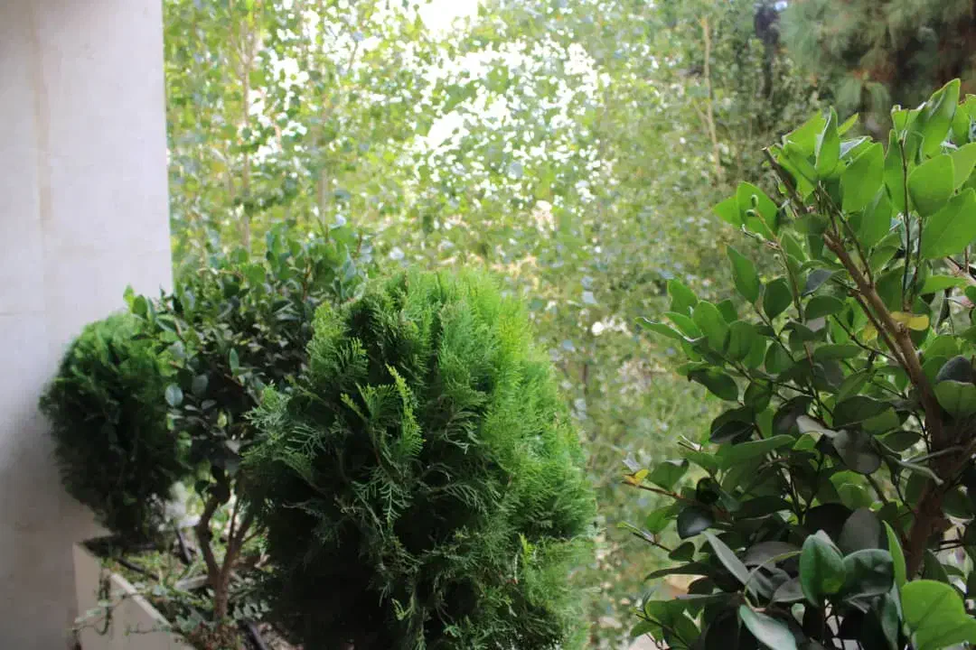 آپارتمان300متری3خوابه تک واحدی3پارکینگ دروس