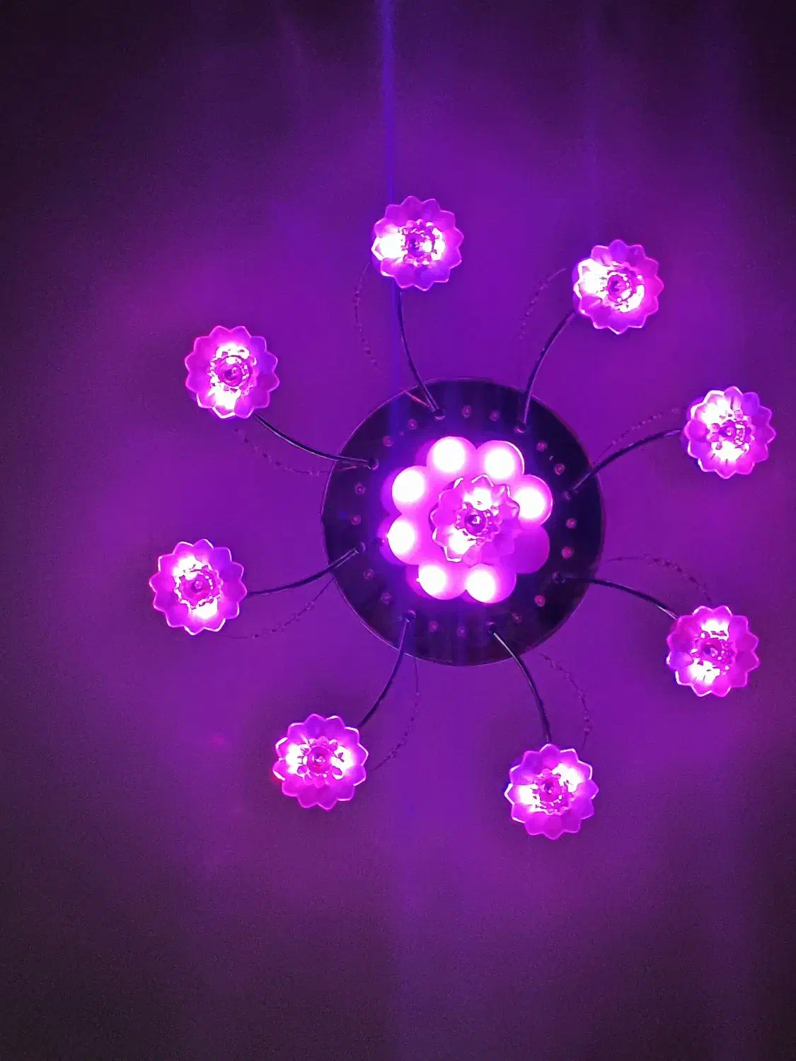 لوستر|لوستر و چراغ آویز|تهران, امام زاده حسن|دیوار