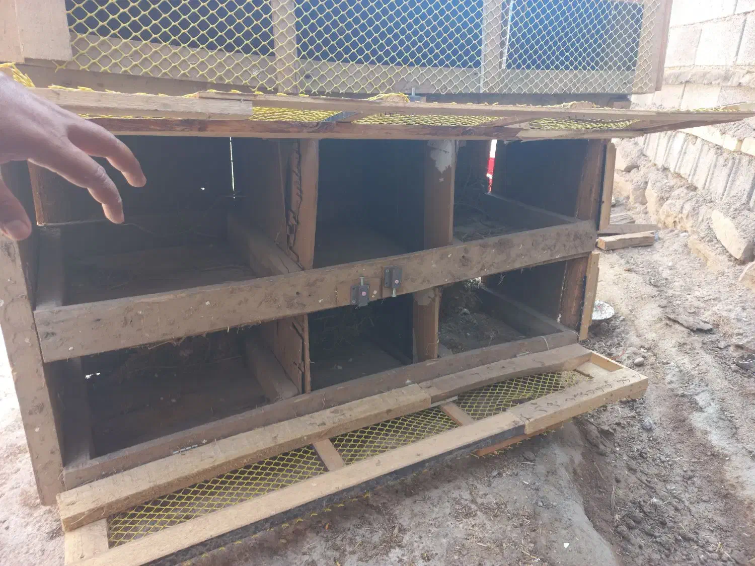 حمیدیه|لوازم جانبی حیوانات|حمیدیه, |دیوار