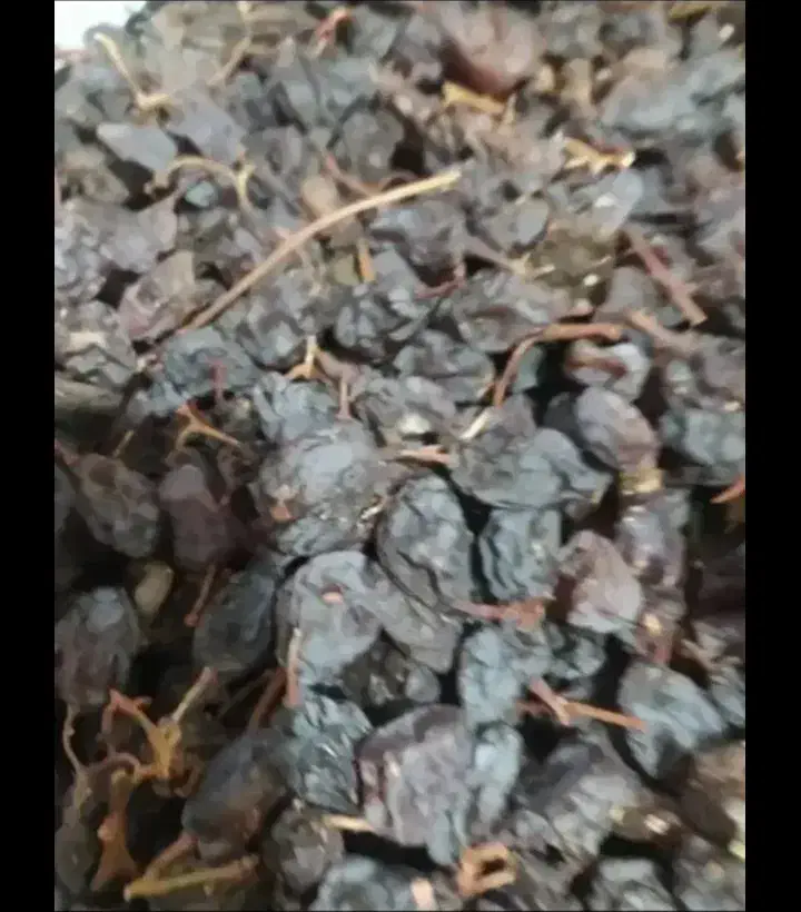 مویز|عمدهفروشی|دشمن زیاری, |دیوار