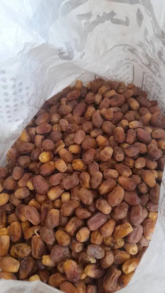 زاهدی امسال درجه یک|خوردنی و آشامیدنی|آشتیان, |دیوار