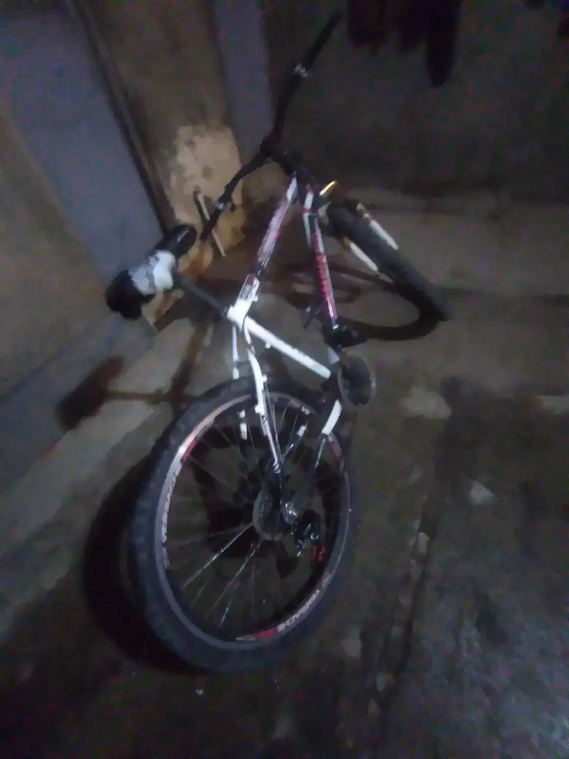 فروشی|دوچرخه، اسکیت، اسکوتر|سقز, |دیوار