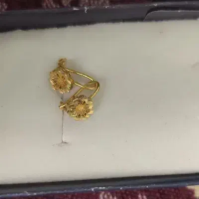 دو جفت گوشواره|جواهرات|بروجرد, |دیوار